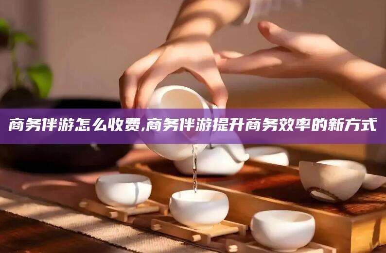 舞钢商务伴游怎么收费,商务伴游提升商务效率的新方式