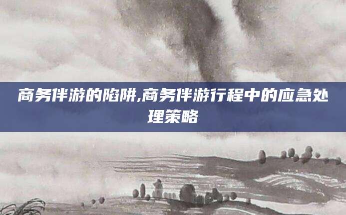 舞钢商务伴游的陷阱,商务伴游行程中的应急处理策略